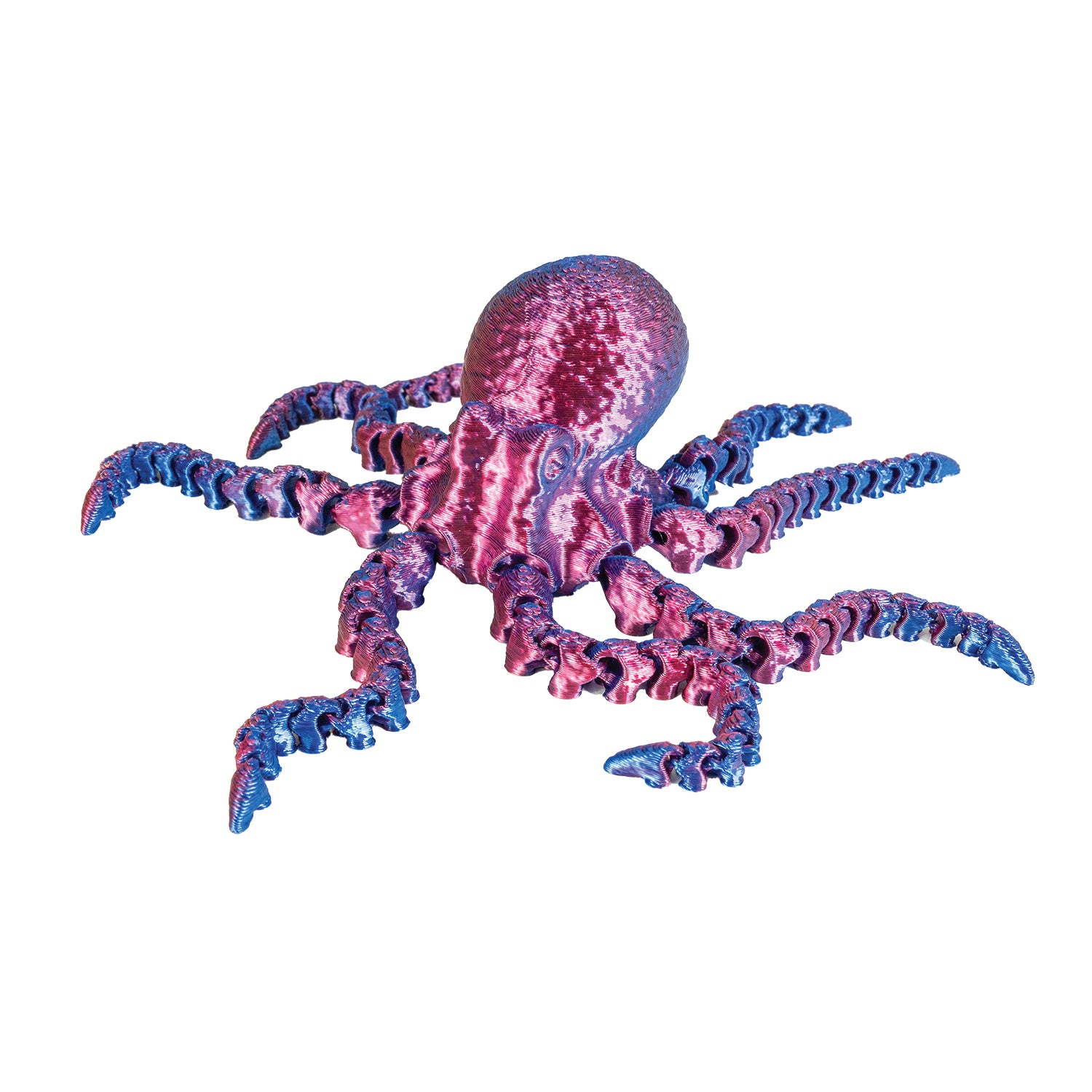 3D Printed Octopus Fidget Toys - 16 per box